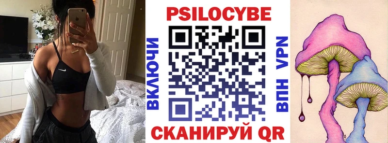Галлюциногенные грибы Psilocybe  Купить где  Новый Оскол 